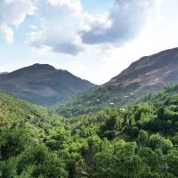 Farmers_malatya